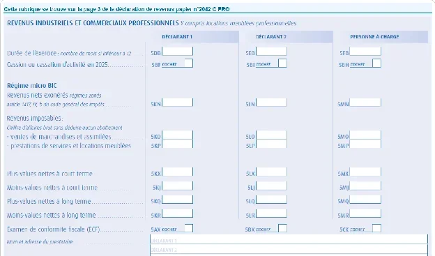 Rubrique Revenus non commerciaux professionnels (BNC) du formulaire 2042-C-PRO