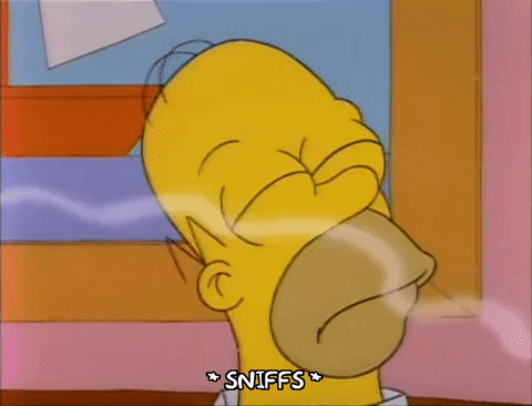 nez homer simpson