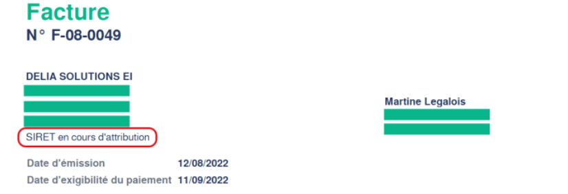Modèle d'en-tête de facture sans SIRET